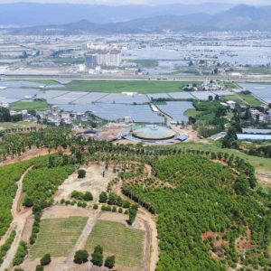 西昌市农文林旅融合发展示范村——“幸福回乡”裕隆乡兴富村