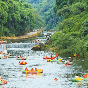 绿色长宁：奋力打造国际竹生态文化旅游目的地