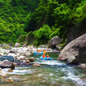 杨兴平出席第十届乡村文化旅游节（夏季）开幕式