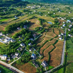 苍溪：“大园区+小庭园”推进小农户与现代农业有机衔接