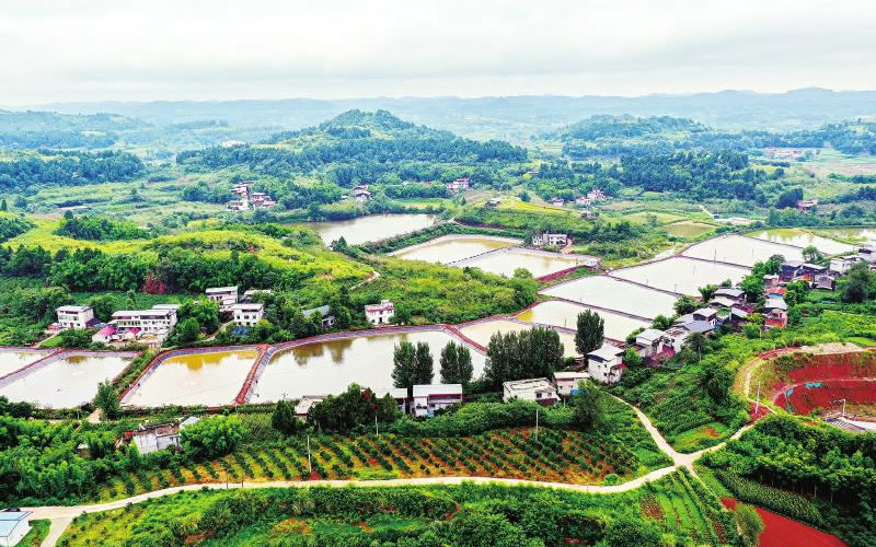 未命名-1.jpg