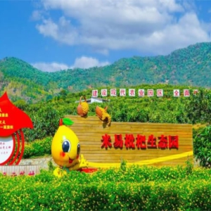 米易县：多彩文化活动赋能乡村全面振兴