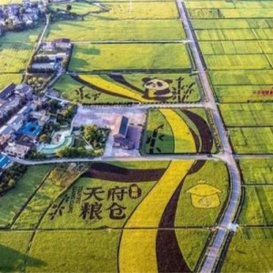 加快推进农业强省建设和乡村全面振兴 今年四川“三农”工作这样干