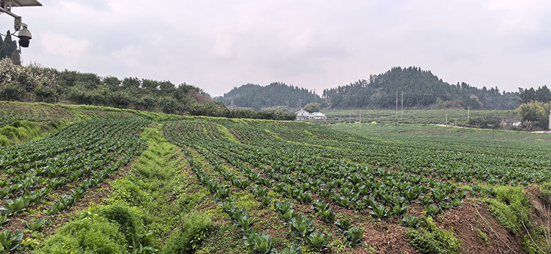 未命名-1.jpg