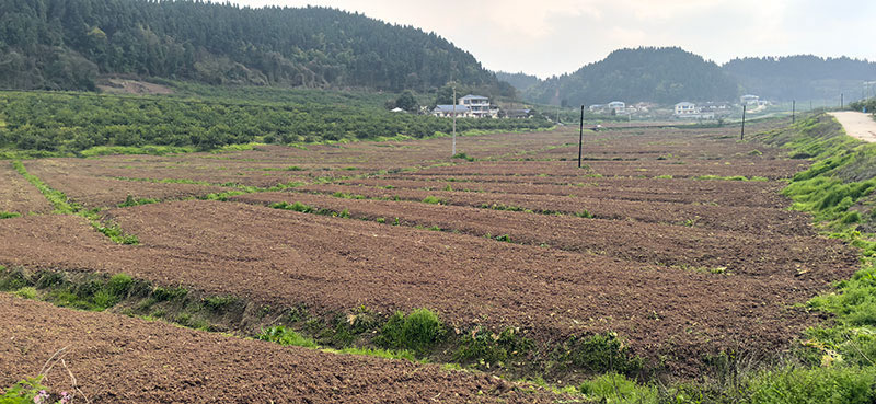 未命名-1.jpg