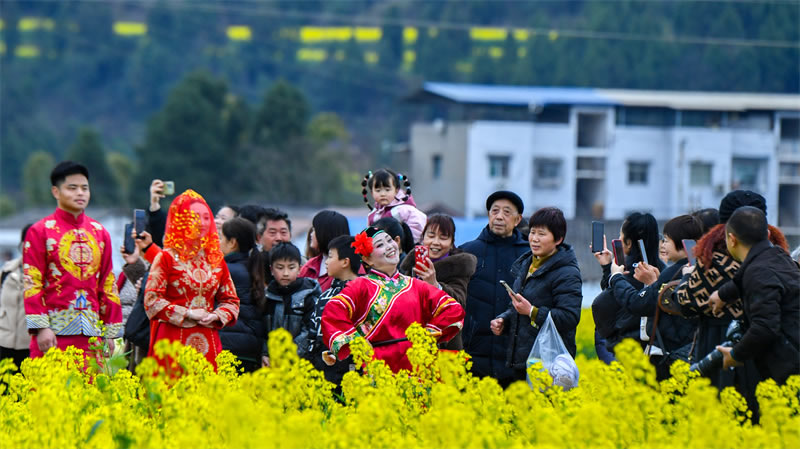 未命名-1.jpg