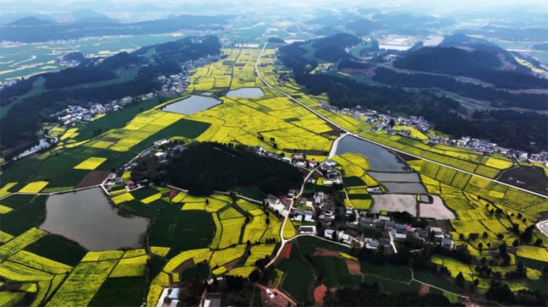 未命名-1.jpg