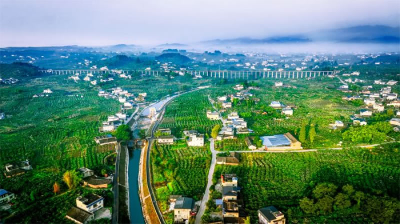 未命名-1.jpg