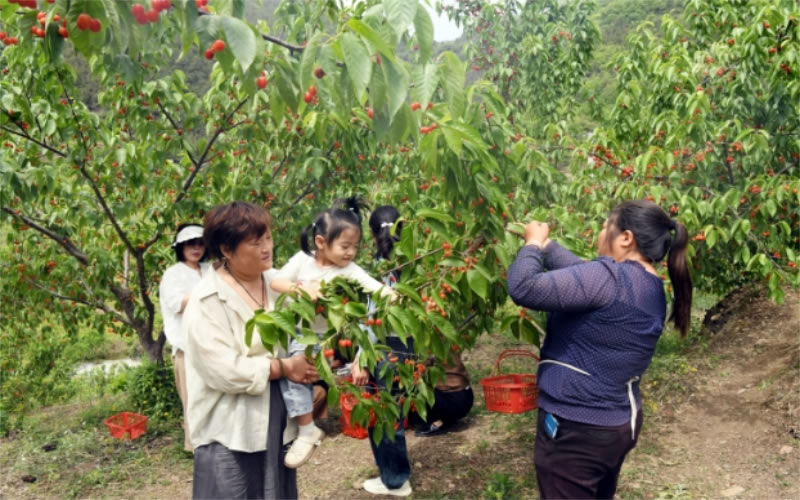 未命名-1.jpg