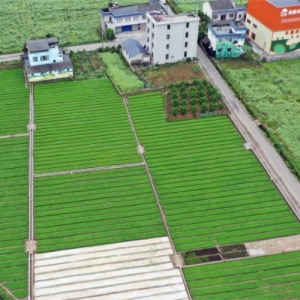 丹棱：打造宜居宜业样板 擘画乡村振兴宏图