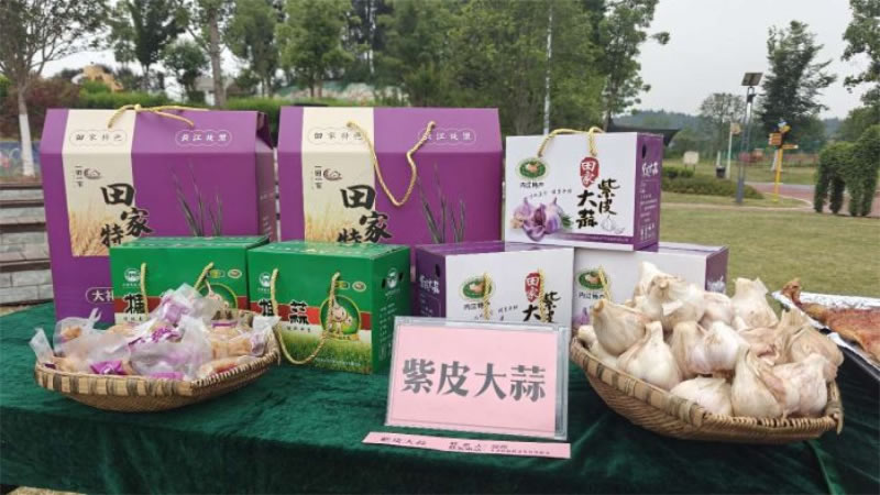 未命名-1.jpg