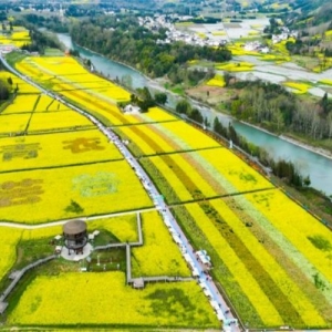 芦山：奋力擘画乡村振兴新画卷