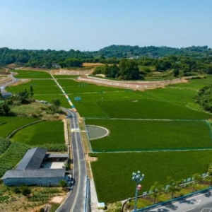 犍为县：“三链融合”发展 助力乡村振兴