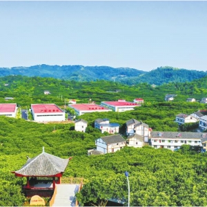 广安市广安区：城市更新展新貌 农文旅融合促振兴