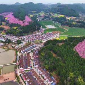 德阳市旌阳区新中镇：绘就农文旅融合新画卷 谱写乡村振兴新篇章