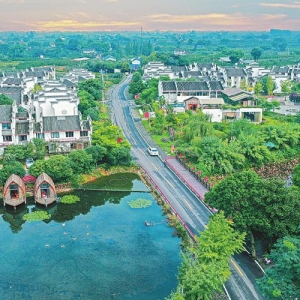 蒲江县：推进“一村一企”建设 激活乡村振兴新动能